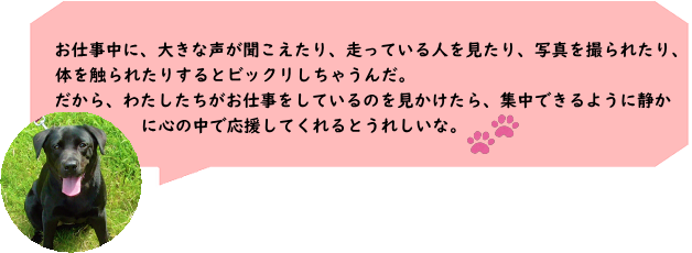 dĂ̂AWł悤ɐÂɐS̒ŉĂˁB