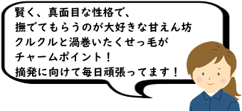 A^ʖڂȐiŁAłĂ炤̂DȊÂVBNNƉQт`[|CgIEɌĖ撣Ă܂I