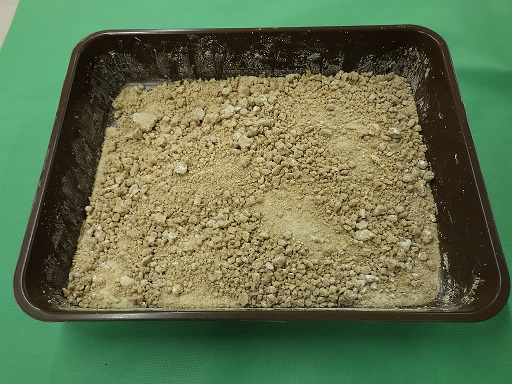 �摜�B