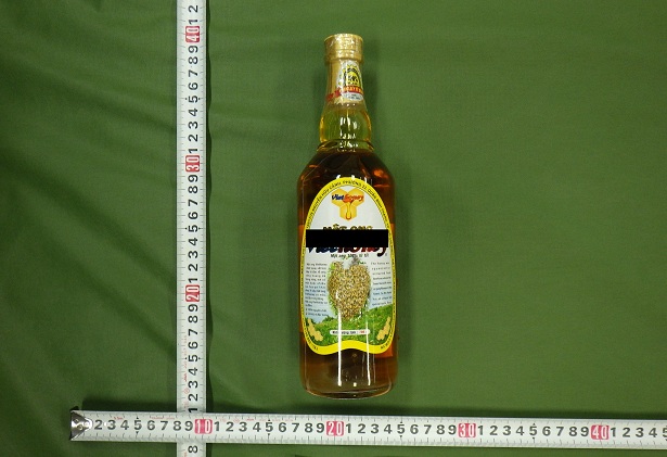 �摜�B