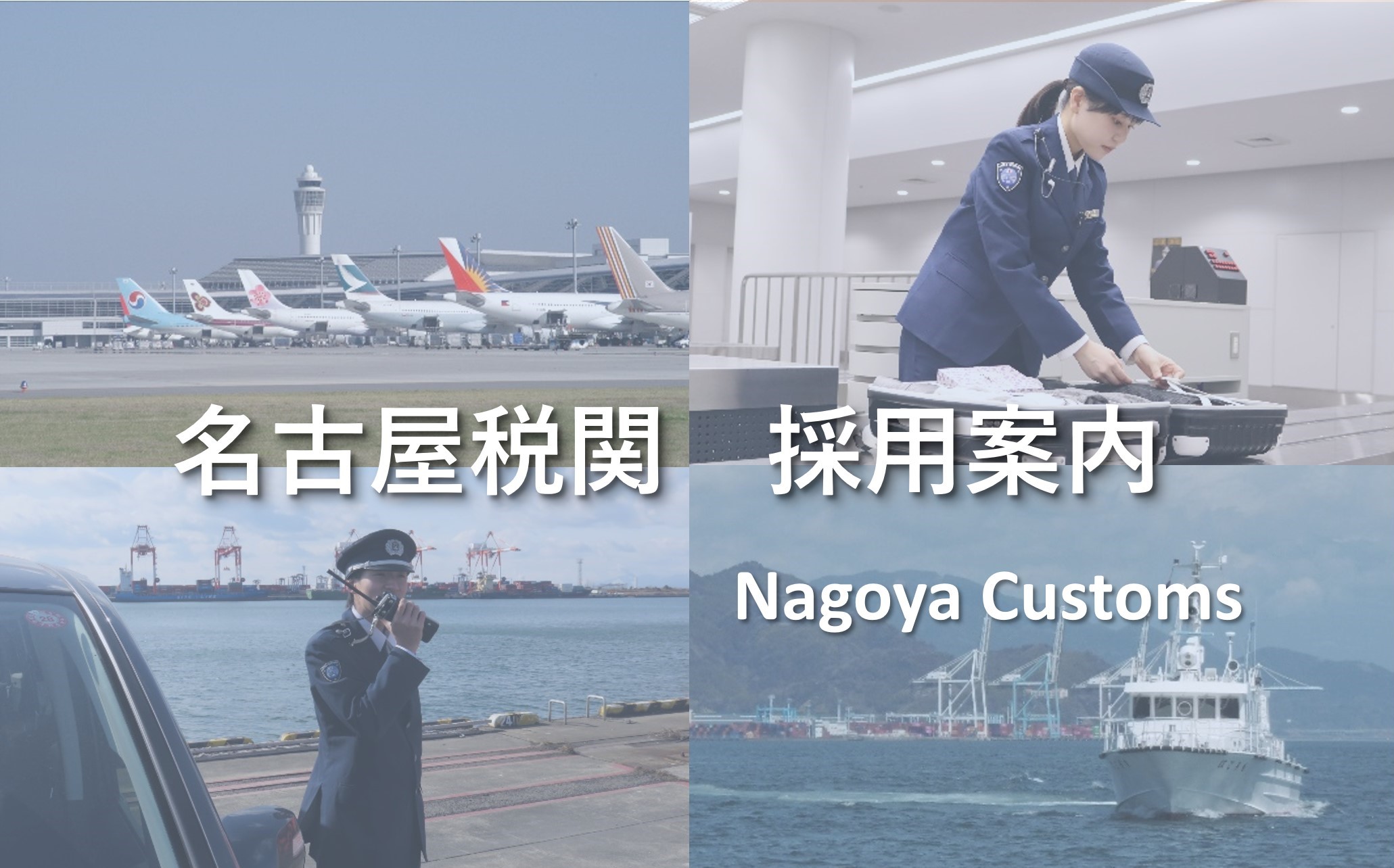 ���C���ʐ^�@