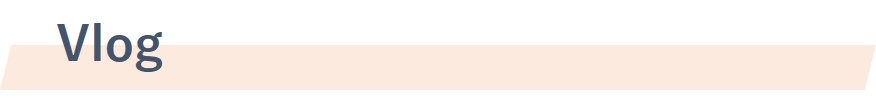 vlog_1.jpg