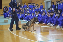 27N11Qij@ÉŊցA֎sLmwZ̖򕨗ph~ɂču