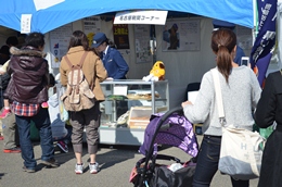 `斯܂@݂ȂƗVFtFX^2014iÉs`jɂĐŊ֓WJ