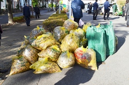 名古屋税関、本関周辺等の清掃活動を実施
