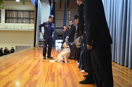 ÉŊցA򕌌HƍwZ̖򕨗ph~ōu