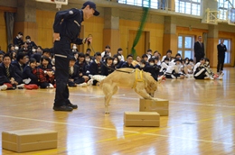 27N119ijÉŊցAlw|wZEwZ̖򕨗ph~ōu