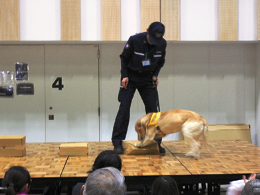 27N21ij@Ŋ֎xÏoA2015ʂ܂Ãt[}[PbgtFXeBoWɂĐŊ֓WJ