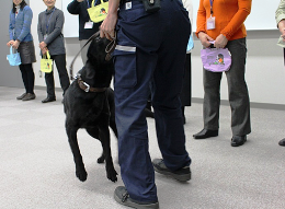 27N36ijÉŊ֒`Ŋ֎xAÉsكKCh{eBǍw