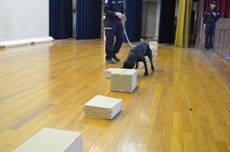 27NRUijÉŊցAÉs䍂wZ̖򕨗ph~ōu