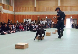 27NT18ijÉŊցA쌧zKƍwZ̖򕨗ph~ōu