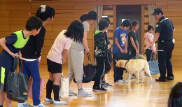 27NT19i΁jÉŊցAzKsΓ쏬wZ̖򕨗ph~ōu