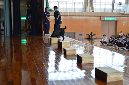 平成27年５月20日（水）名古屋税関、愛知県立知立高等学校の薬物乱用防止教室で講演