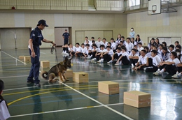 27NT29ijÉŊցAÉsmwZ̖򕨗ph~ōu