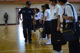 27NUSi؁jÉŊցAÉswZ̖򕨗ph~ōu