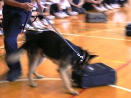 27NU19ijÉŊցA֎scwZ̖򕨗ph~ɂču