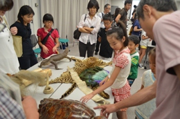 平成27年８月17日（月）名古屋税関、夏休み親子税関見学会を中部国際空港で開催