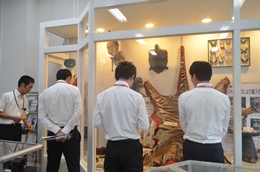 27NW28i΁jÉŊցA`C^()̃C^[VbvC̖K