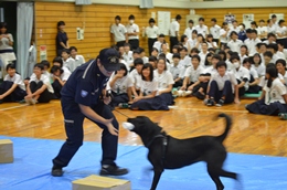 27N98i΁j@ÉŊցAOdskwZ̖򕨗ph~ɂču