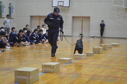 27N1020i΁j@ÉŊցA䐓zwZ̖򕨗ph~ɂču