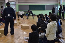 28N11Wi΁jÉŊցA򕌎sHwZ̖򕨗ph~ɂču