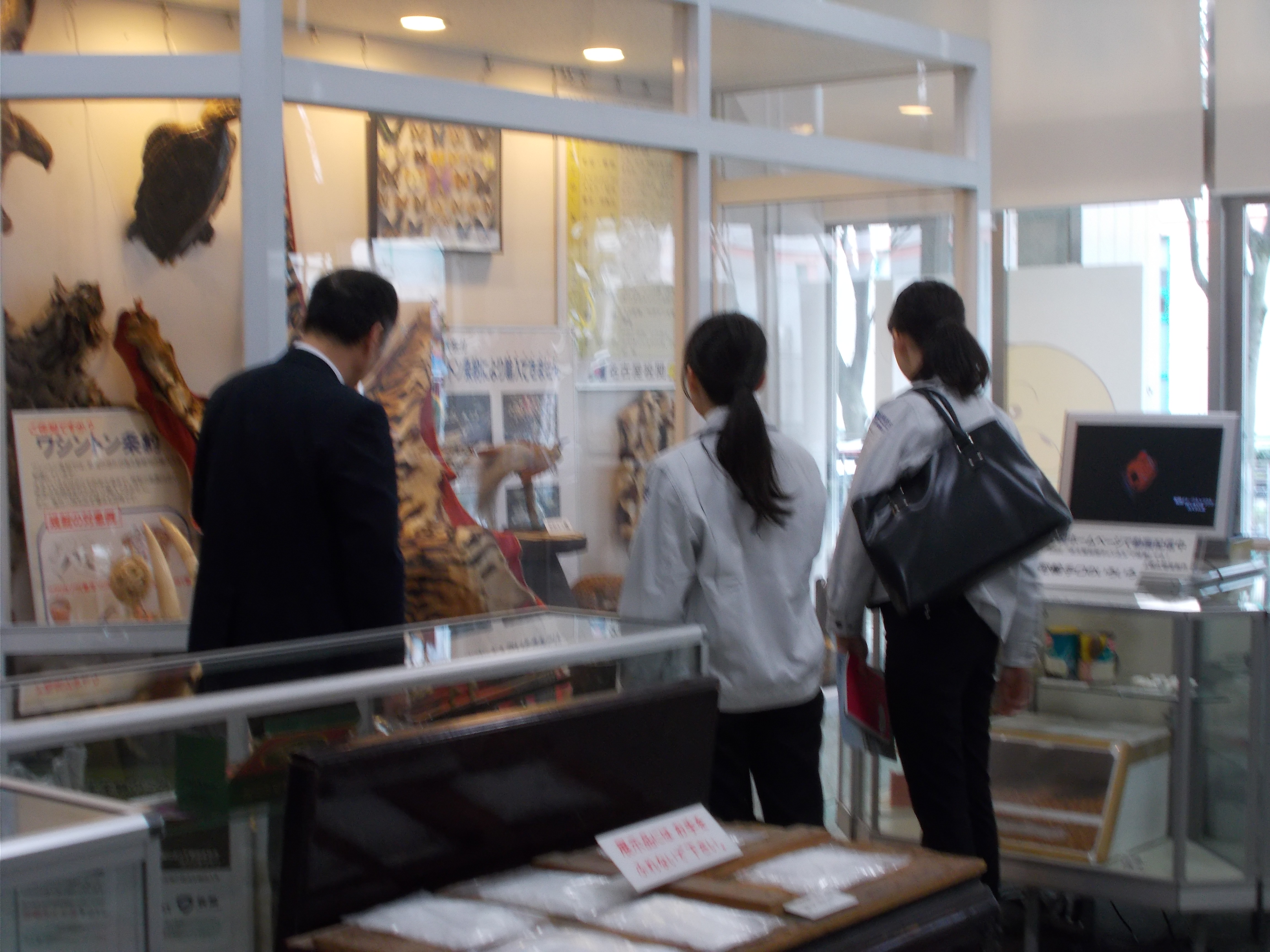 29N410ijÉŊցAO̖K󂯓