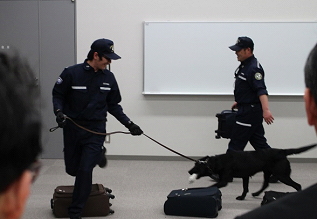 29NS20i؁j`Ŋ֎xAuÉŊ֕ېŉ`xv̌w󂯓