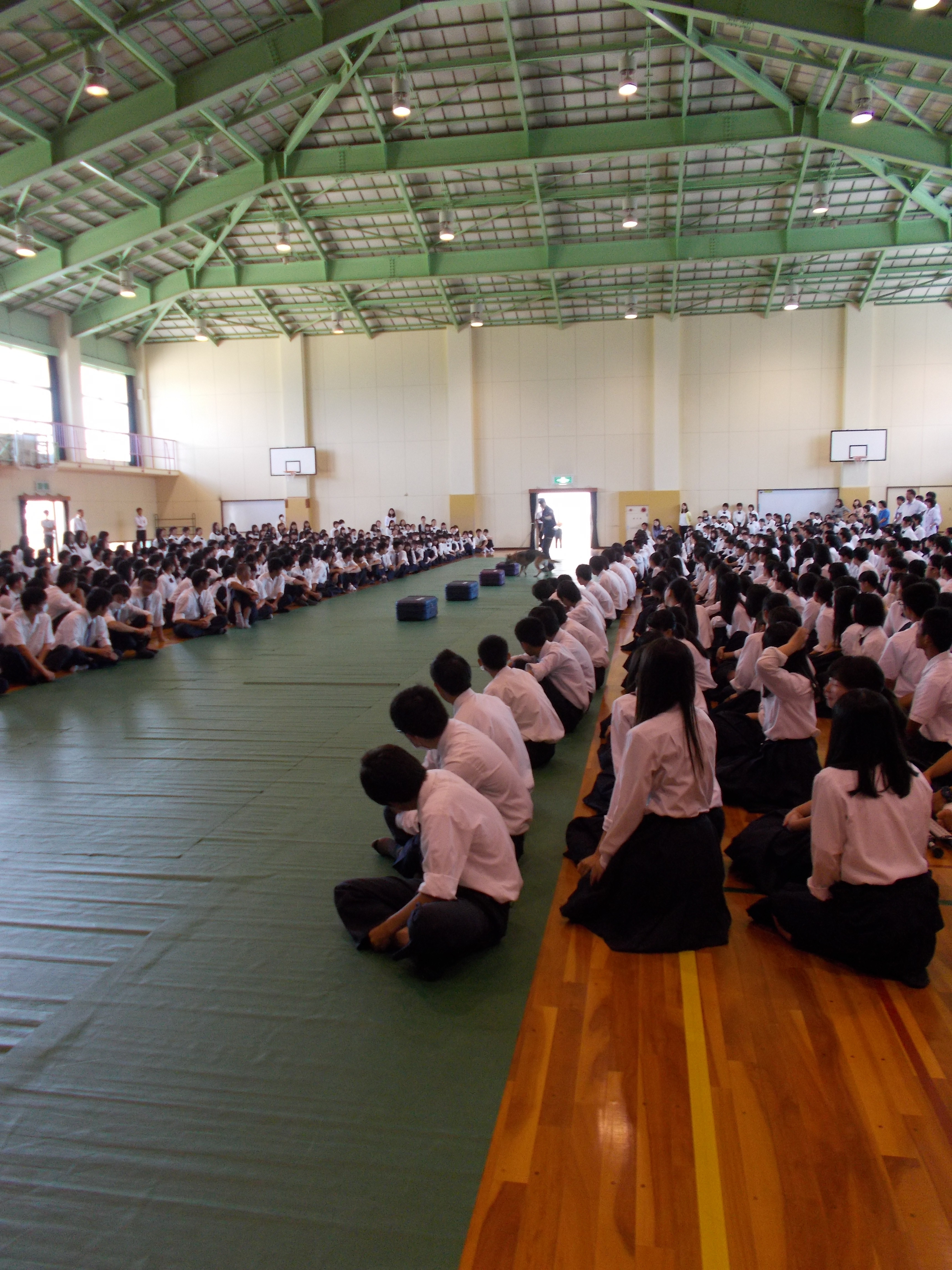 29NU16ijÉŊցA򕌌ZƍwZ̖򕨗ph~ɂču