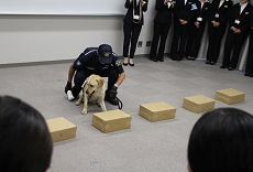 29N623ij`Ŋ֎xA匴gxEzeEuC_wZlŽw