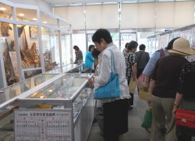 29NV10(jÉŊցA_όixRxXj̖K