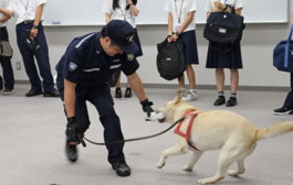 麻薬探知犬訓練の様子