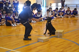 27N115i؁j@ÉŊցAjjwZ̖򕨗ph~ɂču