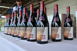 27N1110i΁j`Ŋ֎xA{[WEk[H[Ŋ֗A̖͗lJ