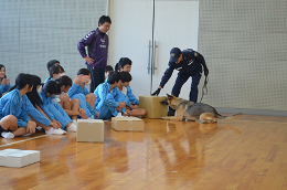 27N1110i΁jÉŊցAsL˒wZ̖򕨗ph~ɂču