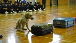 27N1113ijÉŊցARsɎǒwZ̖򕨗ph~ɂču