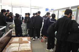 27N1119i؁jÉŊցAswZk̖K