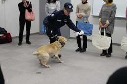 28NP14i؁j`Ŋ֎xAXی쏗̌w