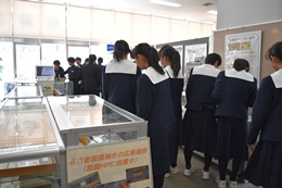 28NP19i΁jÉŊցAÉsgwZk̖K