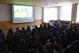 28N121i؁jÉŊցARsRwZ̖򕨗ph~ɂču