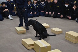 28N121i؁jÉŊցARsRwZ̖򕨗ph~ɂču