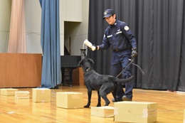 28N122ijÉŊցA쒬쒆wZ̖򕨗ph~ɂču