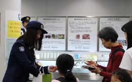 28NS28i؁j`Ŋ֎xAɐuT~bgJÂɔŊւɂeLLy[{