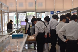 28NT17i΁jÉŊցARsO쒆wZk̖K