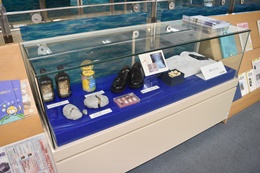 28NT21ij@ÉŊցAÉs`}قɂĐŊ֓W