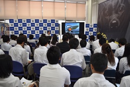 28NUUijÉŊցA@ȌC̖K