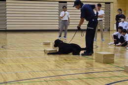 28NU14i΁jÉŊցA}}wZ̖򕨗ph~ɂču