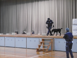 28NU22ijŊ֎xAÉs񒆊wZ̖򕨗ph~ɂču