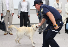 28NU28i΁j`Ŋ֎xA쏭Nx@{eBǍw