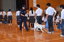 28NV20ijÉŊցA򕌌bߓ썂wZ̖򕨗ph~ɂču