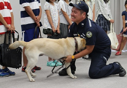 28NV21i؁j`Ŋ֎xA鎭@lŇw